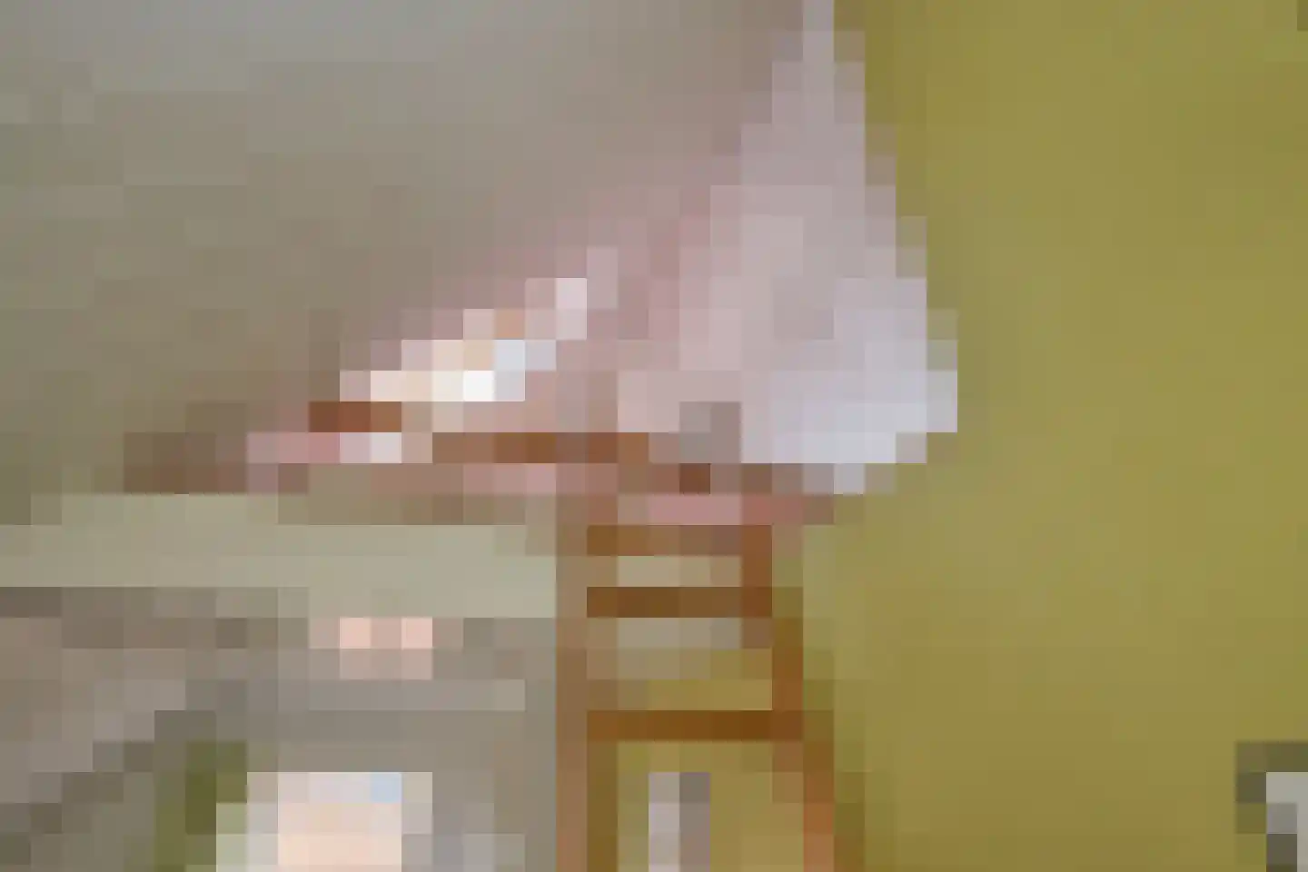 Zuiderpad 48 Zuidoostbeemster thumbnail 39
