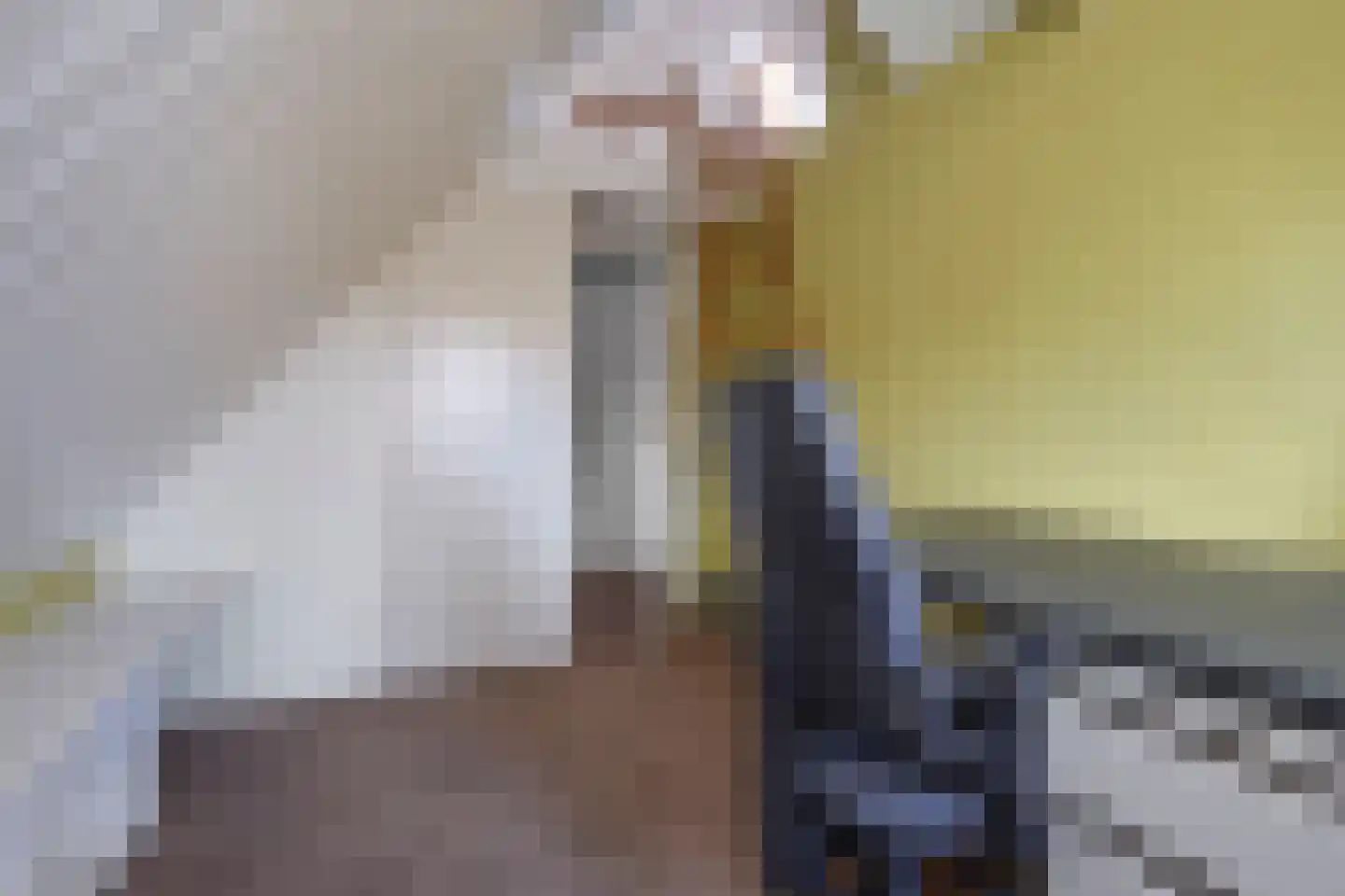 Zuiderpad 48 Zuidoostbeemster thumbnail 42