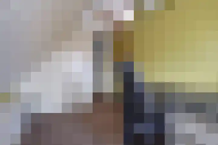 Zuiderpad 48 Zuidoostbeemster thumbnail 42