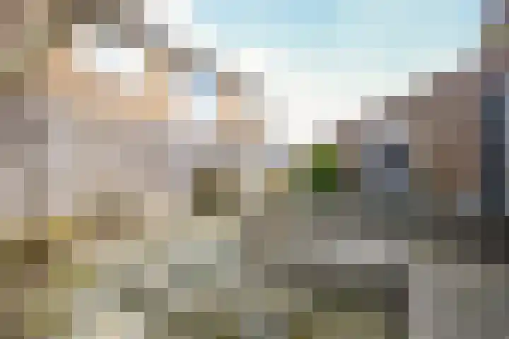 Zuiderpad 48 Zuidoostbeemster thumbnail 46
