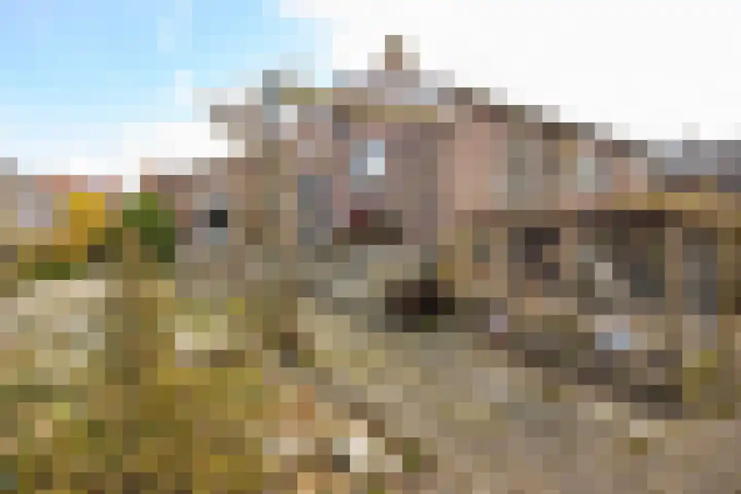 Zuiderpad 48 Zuidoostbeemster thumbnail 47