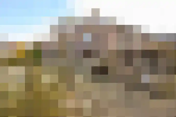 Zuiderpad 48 Zuidoostbeemster thumbnail 47