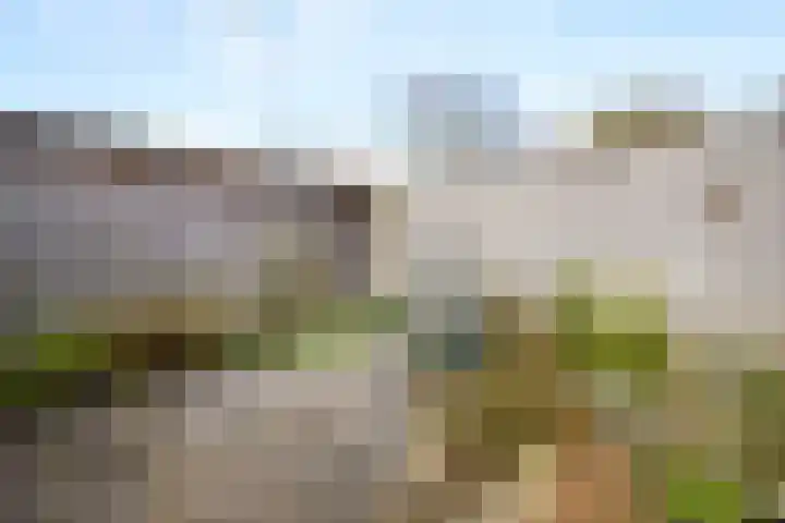Zuiderpad 48 Zuidoostbeemster thumbnail 49