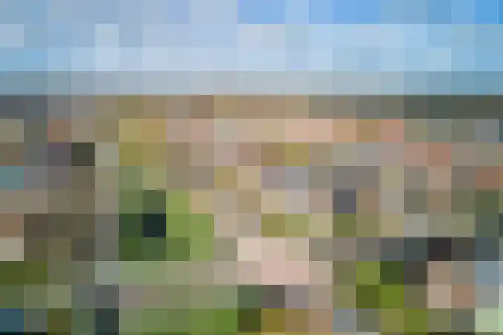 Zuiderpad 48 Zuidoostbeemster thumbnail 5