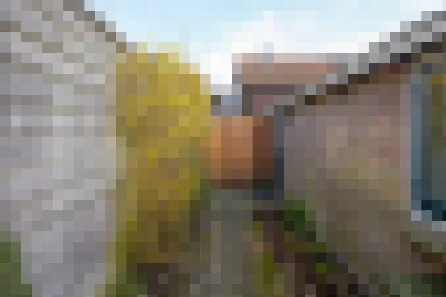 Zuiderpad 48 Zuidoostbeemster thumbnail 53