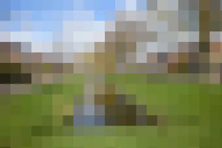 Zuiderpad 48 Zuidoostbeemster thumbnail 54