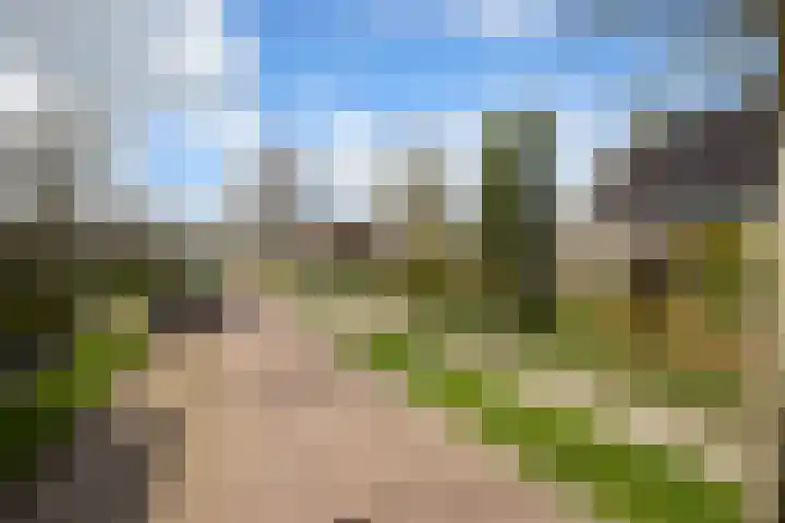Zuiderpad 48 Zuidoostbeemster thumbnail 56