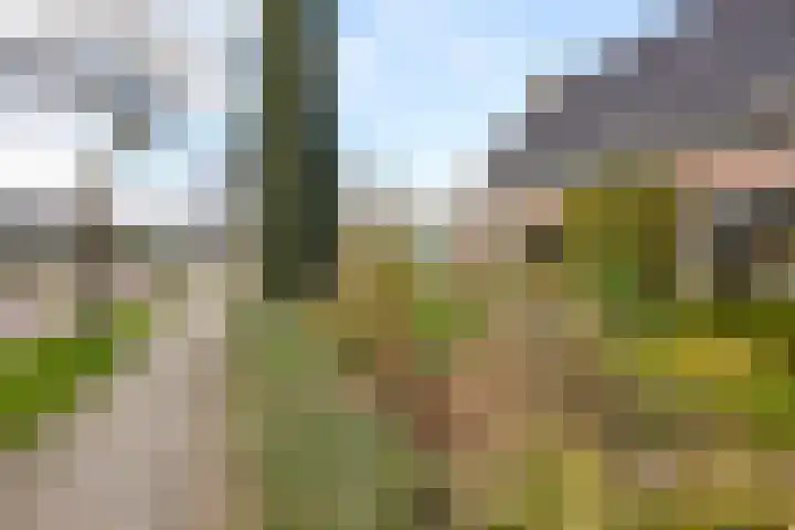 Zuiderpad 48 Zuidoostbeemster thumbnail 57
