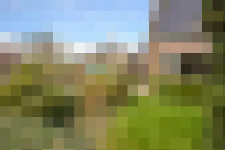 Zuiderpad 48 Zuidoostbeemster thumbnail 58