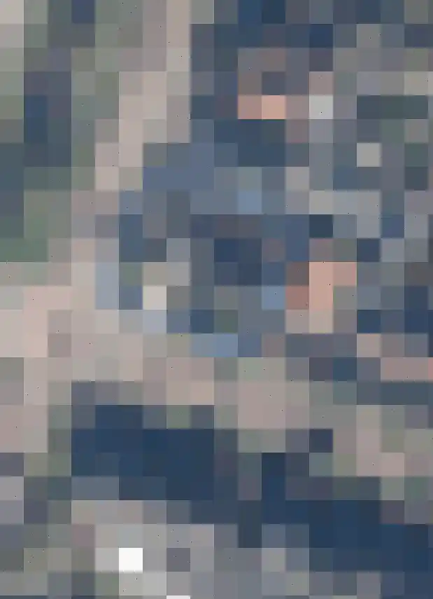 Zuiderpad 48 Zuidoostbeemster thumbnail 62
