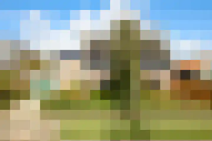 Zuiderpad 48 Zuidoostbeemster thumbnail 7
