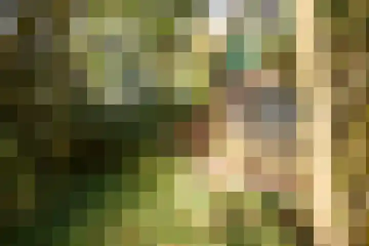 Zuiderpad 5 Zuidoostbeemster thumbnail 10