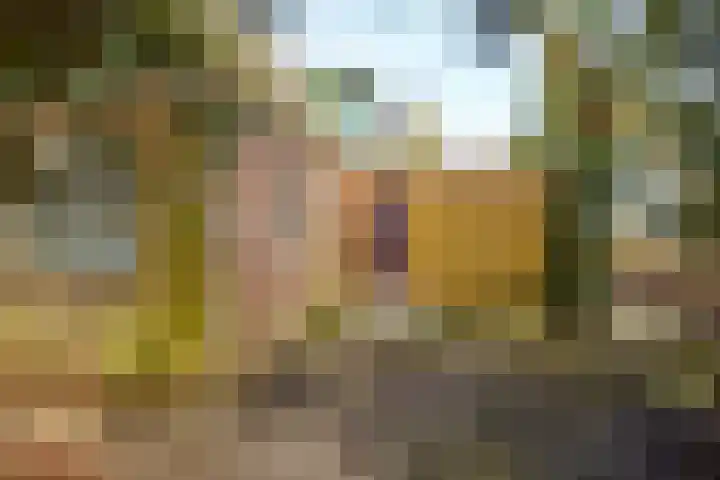 Zuiderpad 5 Zuidoostbeemster thumbnail 11