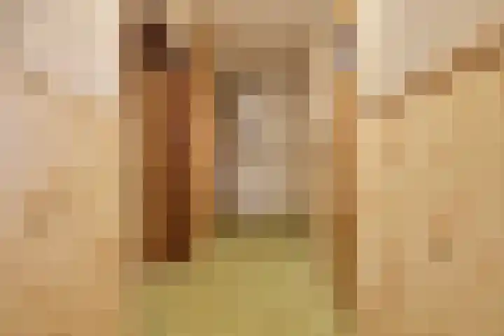 Zuiderpad 5 Zuidoostbeemster thumbnail 14