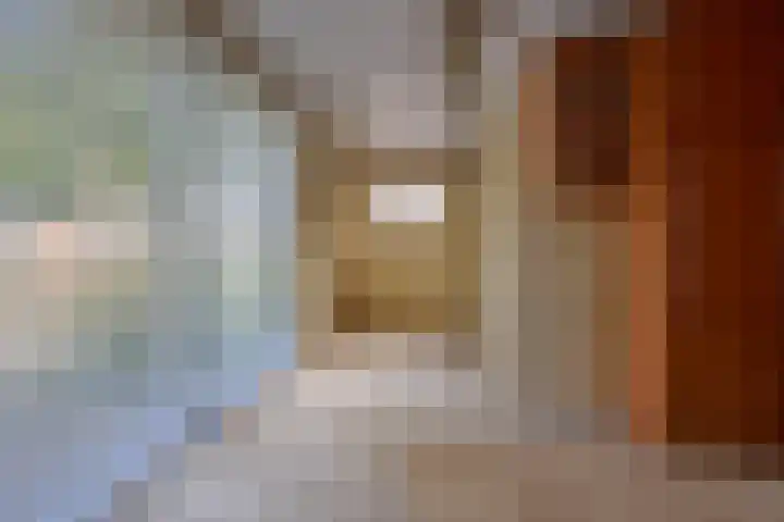 Zuiderpad 5 Zuidoostbeemster thumbnail 21