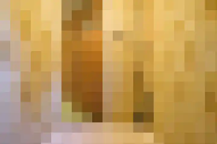 Zuiderpad 5 Zuidoostbeemster thumbnail 30