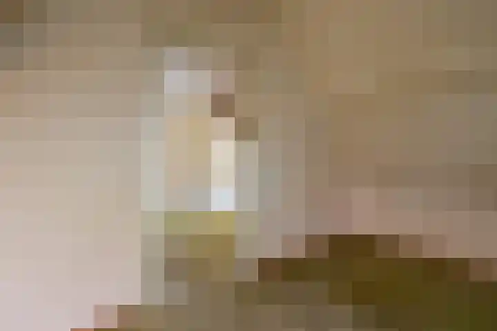 Zuiderpad 5 Zuidoostbeemster thumbnail 38
