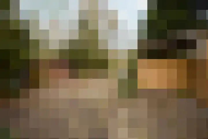 Zuiderpad 5 Zuidoostbeemster thumbnail 39
