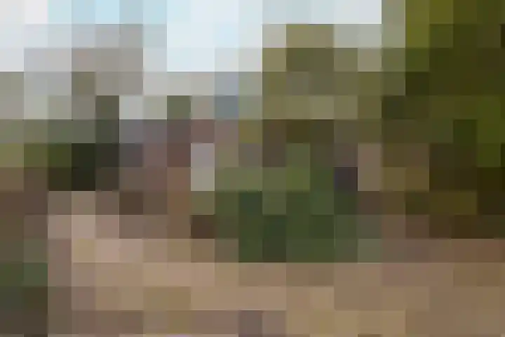 Zuiderpad 5 Zuidoostbeemster thumbnail 40