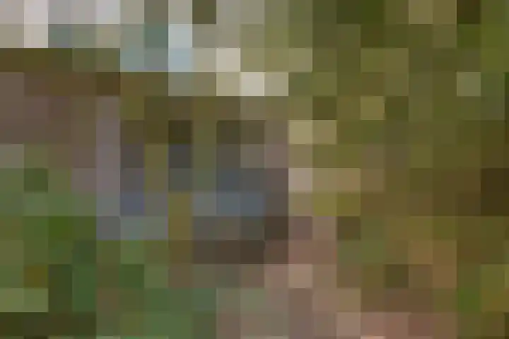 Zuiderpad 5 Zuidoostbeemster thumbnail 41