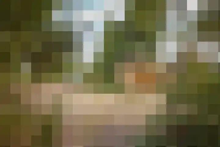 Zuiderpad 5 Zuidoostbeemster thumbnail 47