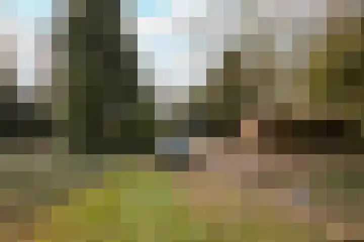 Zuiderpad 5 Zuidoostbeemster thumbnail 48