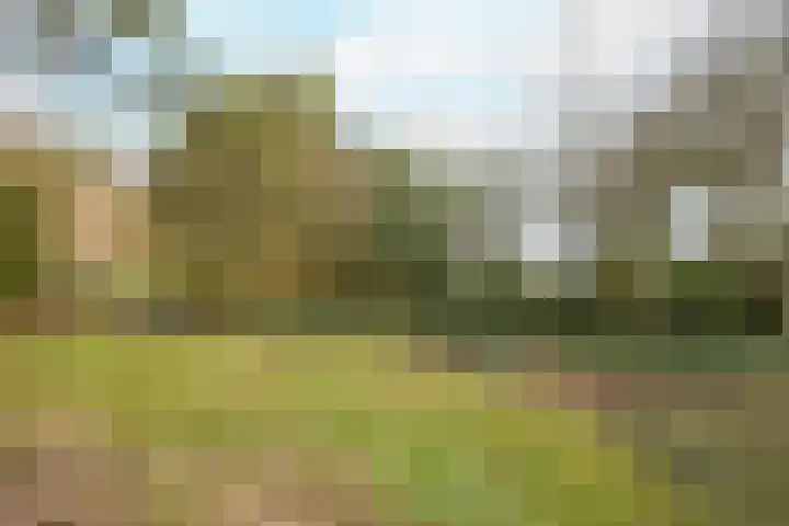 Zuiderpad 5 Zuidoostbeemster thumbnail 49