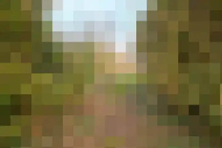 Zuiderpad 5 Zuidoostbeemster thumbnail 50