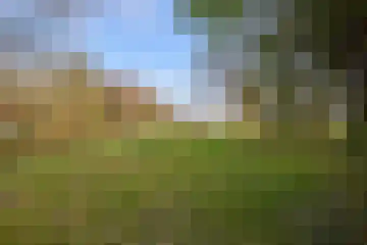 Zuiderpad 5 Zuidoostbeemster thumbnail 51