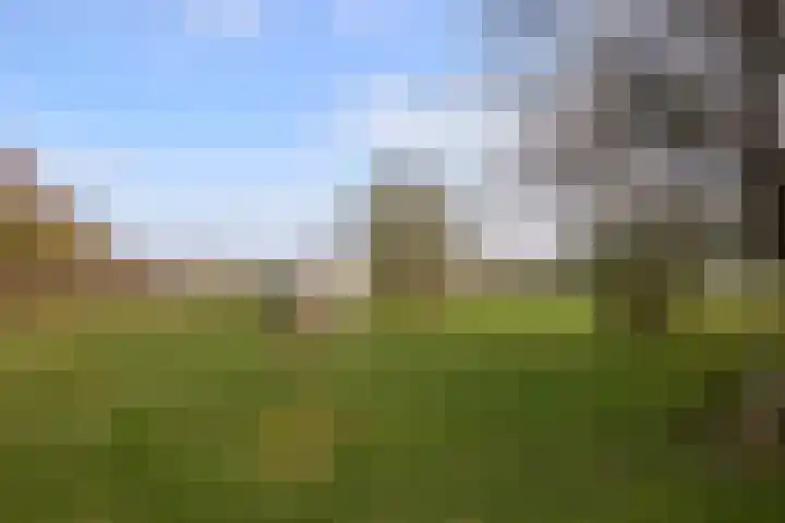 Zuiderpad 5 Zuidoostbeemster thumbnail 52
