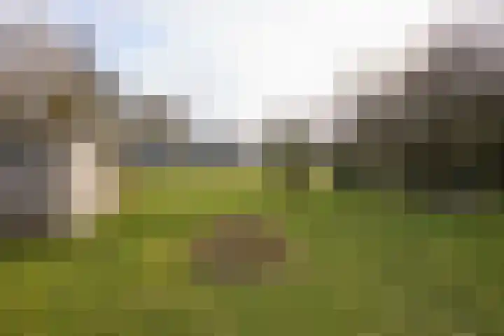 Zuiderpad 5 Zuidoostbeemster thumbnail 54