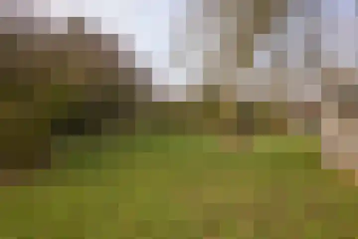Zuiderpad 5 Zuidoostbeemster thumbnail 55