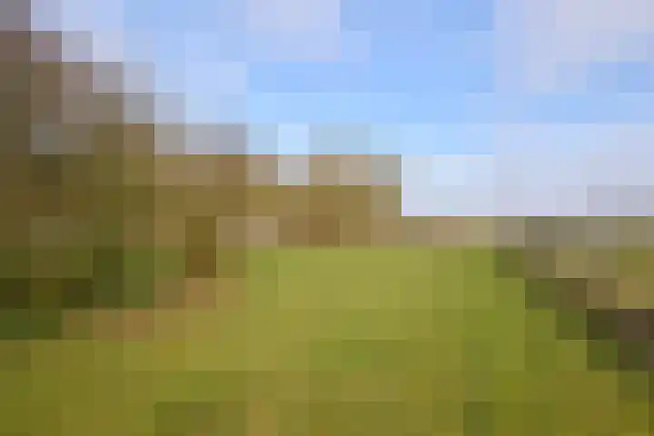Zuiderpad 5 Zuidoostbeemster thumbnail 58
