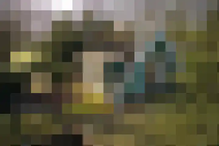 Zuiderpad 5 Zuidoostbeemster thumbnail 59