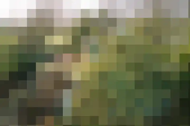 Zuiderpad 5 Zuidoostbeemster thumbnail 60