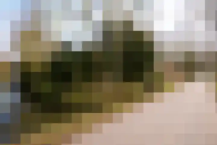 Zuiderpad 5 Zuidoostbeemster thumbnail 61
