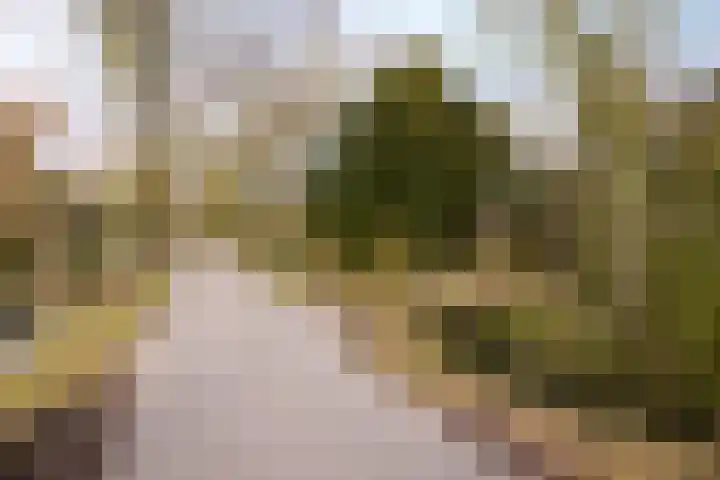 Zuiderpad 5 Zuidoostbeemster thumbnail 62