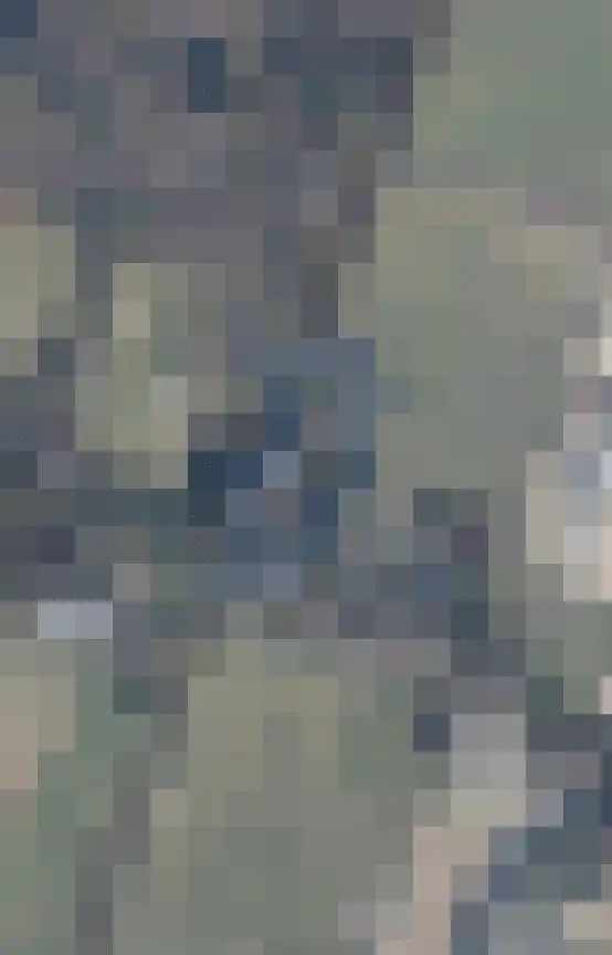 Zuiderpad 5 Zuidoostbeemster thumbnail 67