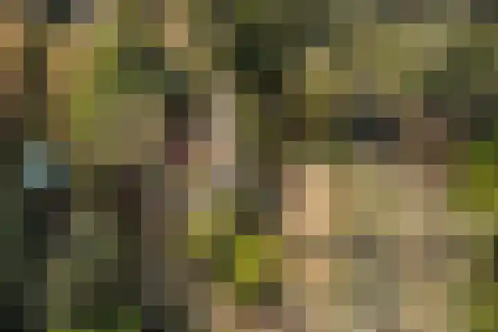 Zuiderpad 5 Zuidoostbeemster thumbnail 7