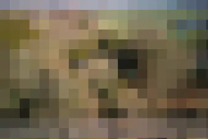 Zuiderpad 5 Zuidoostbeemster thumbnail 8