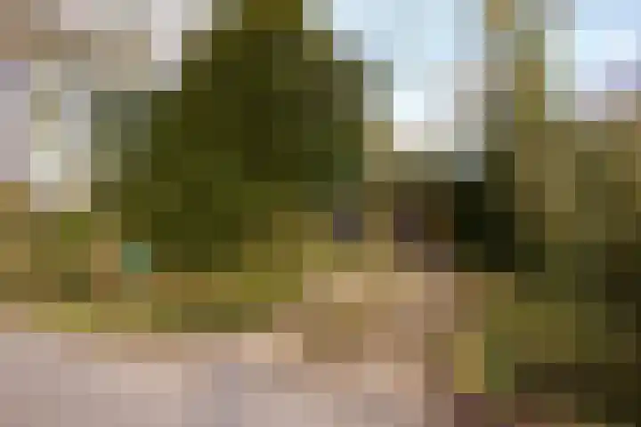 Zuiderpad 5 Zuidoostbeemster thumbnail 9