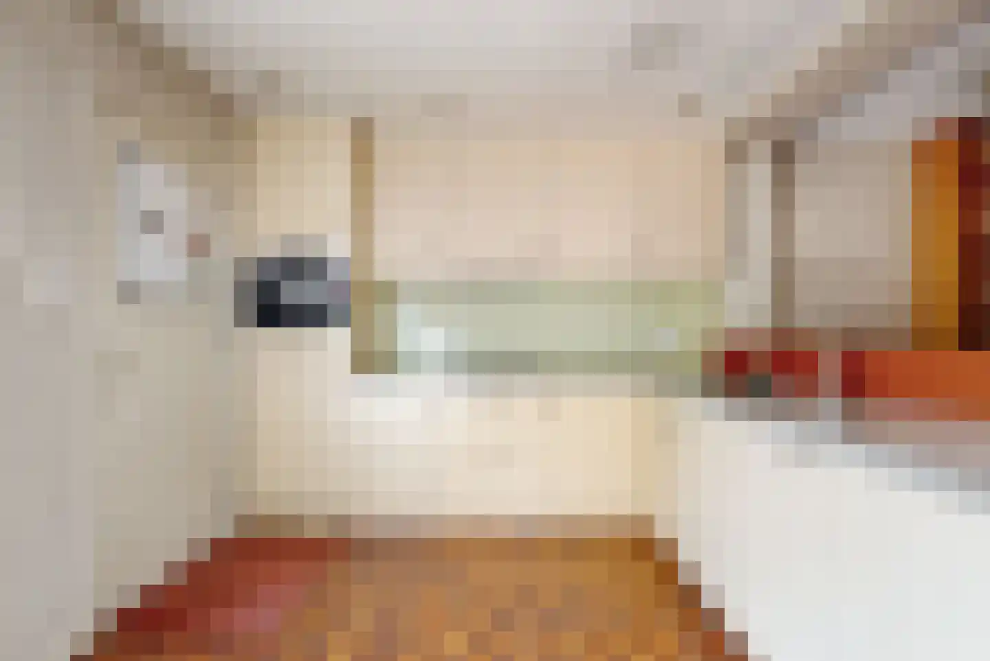 Zuiderpad 57 Zuidoostbeemster thumbnail 10