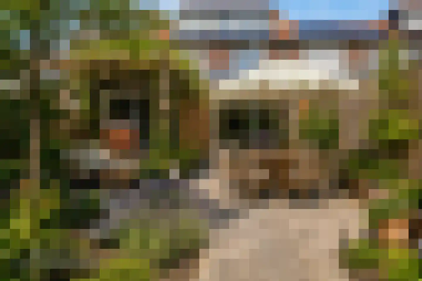 Zuiderpad 57 Zuidoostbeemster thumbnail 16