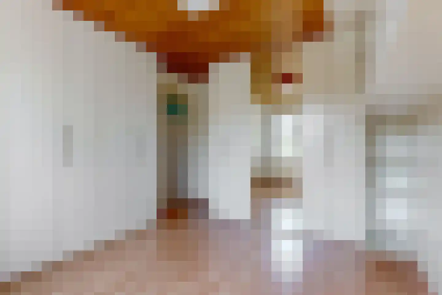 Zuiderpad 57 Zuidoostbeemster thumbnail 23