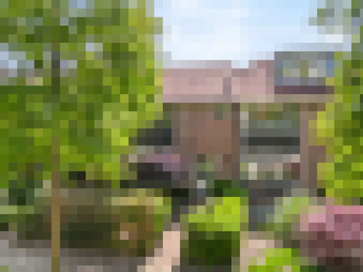 Zuiderpad 57 Zuidoostbeemster thumbnail 35