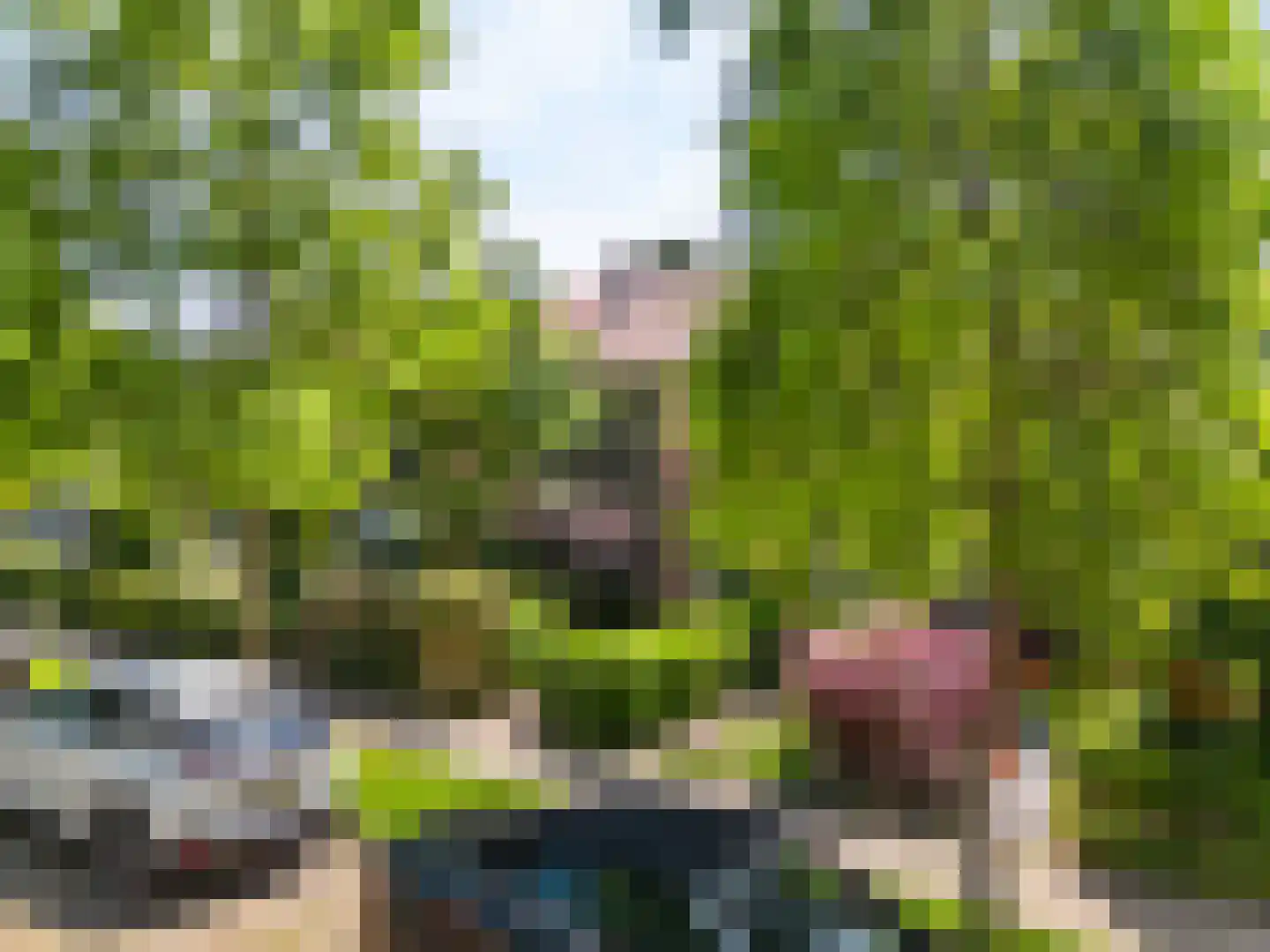 Zuiderpad 57 Zuidoostbeemster thumbnail 37