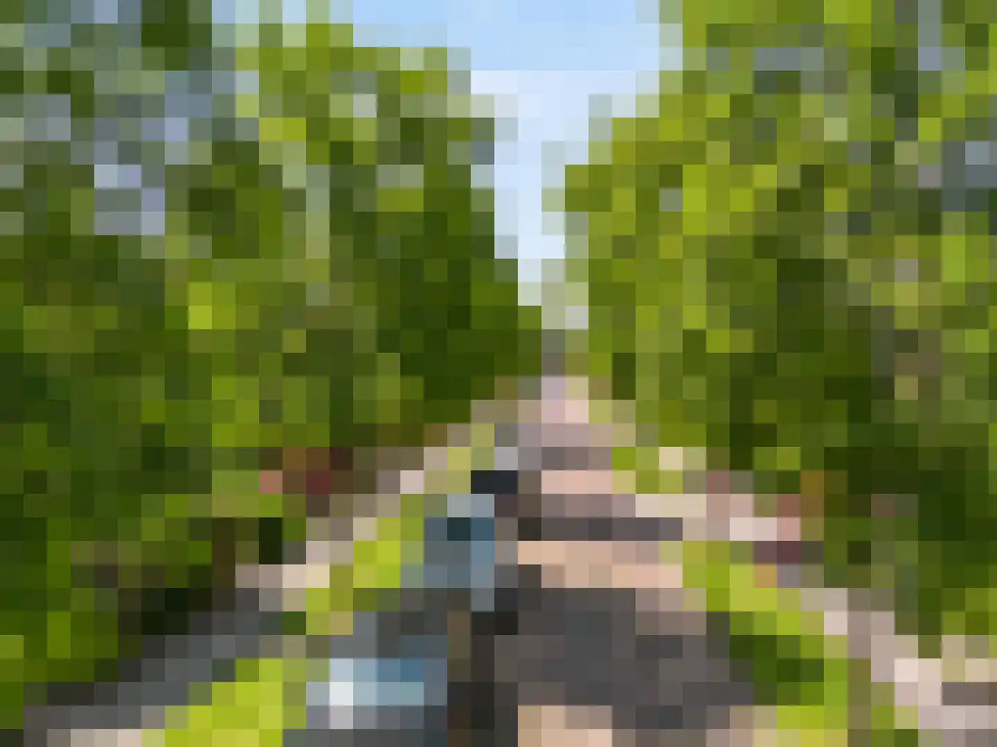 Zuiderpad 57 Zuidoostbeemster thumbnail 38