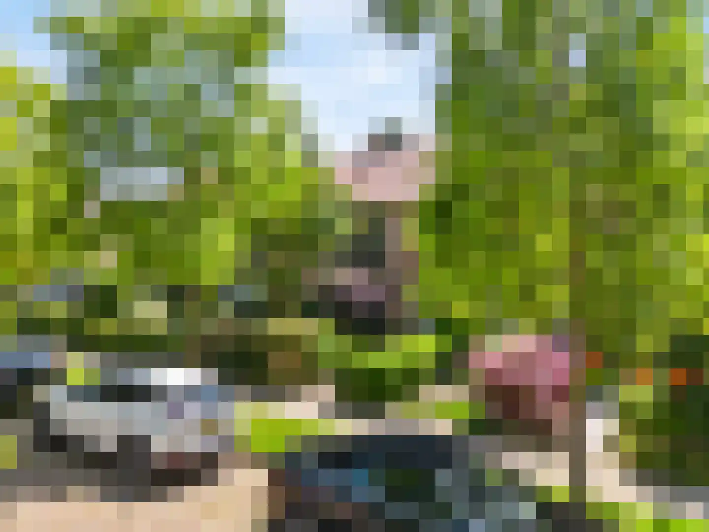 Zuiderpad 57 Zuidoostbeemster thumbnail 39