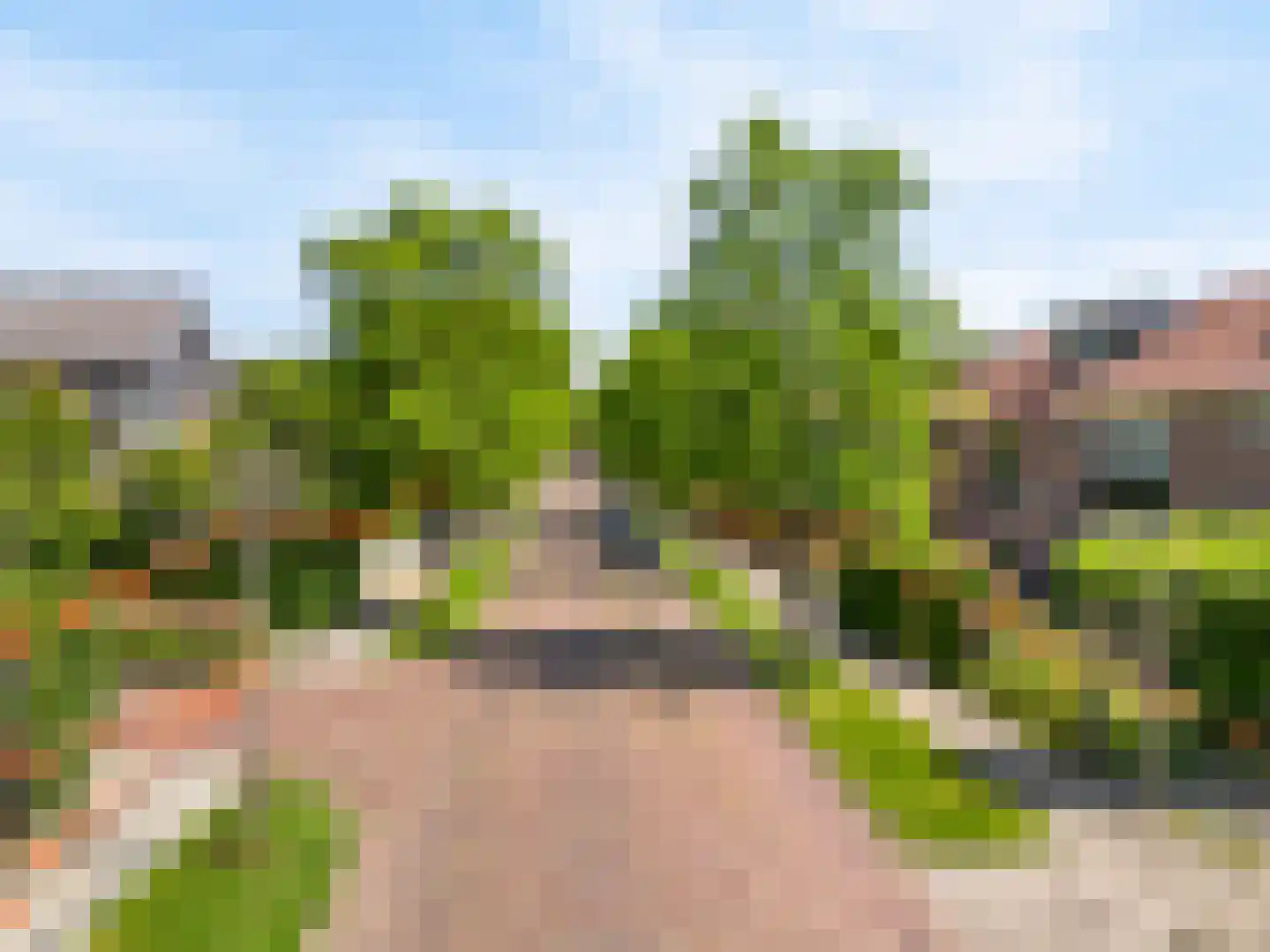 Zuiderpad 57 Zuidoostbeemster thumbnail 40