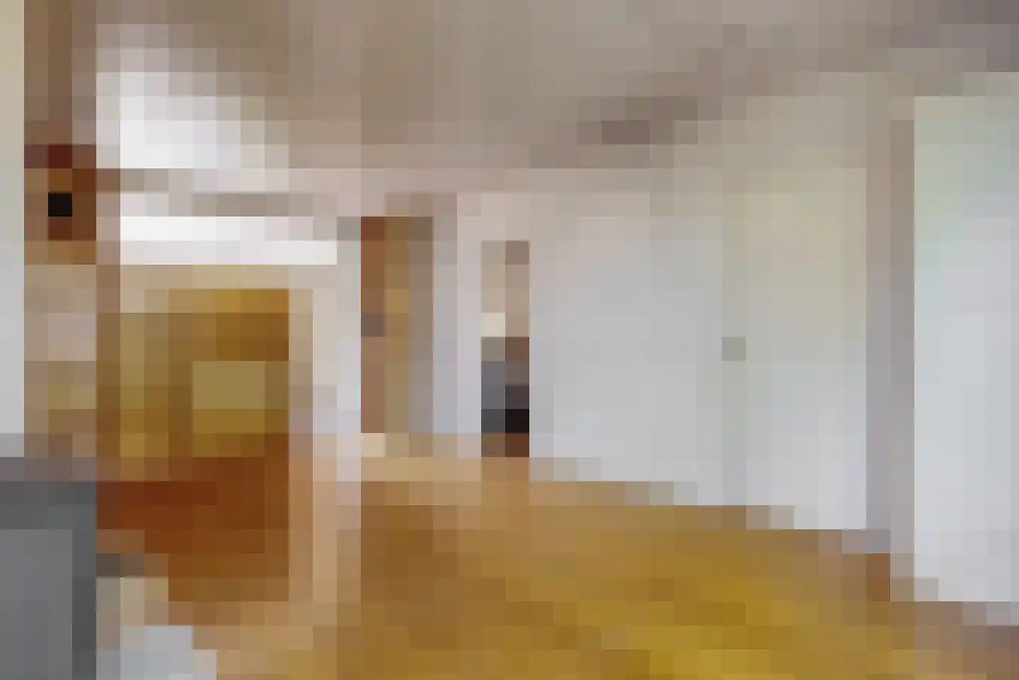 Zuiderpad 57 Zuidoostbeemster thumbnail 5